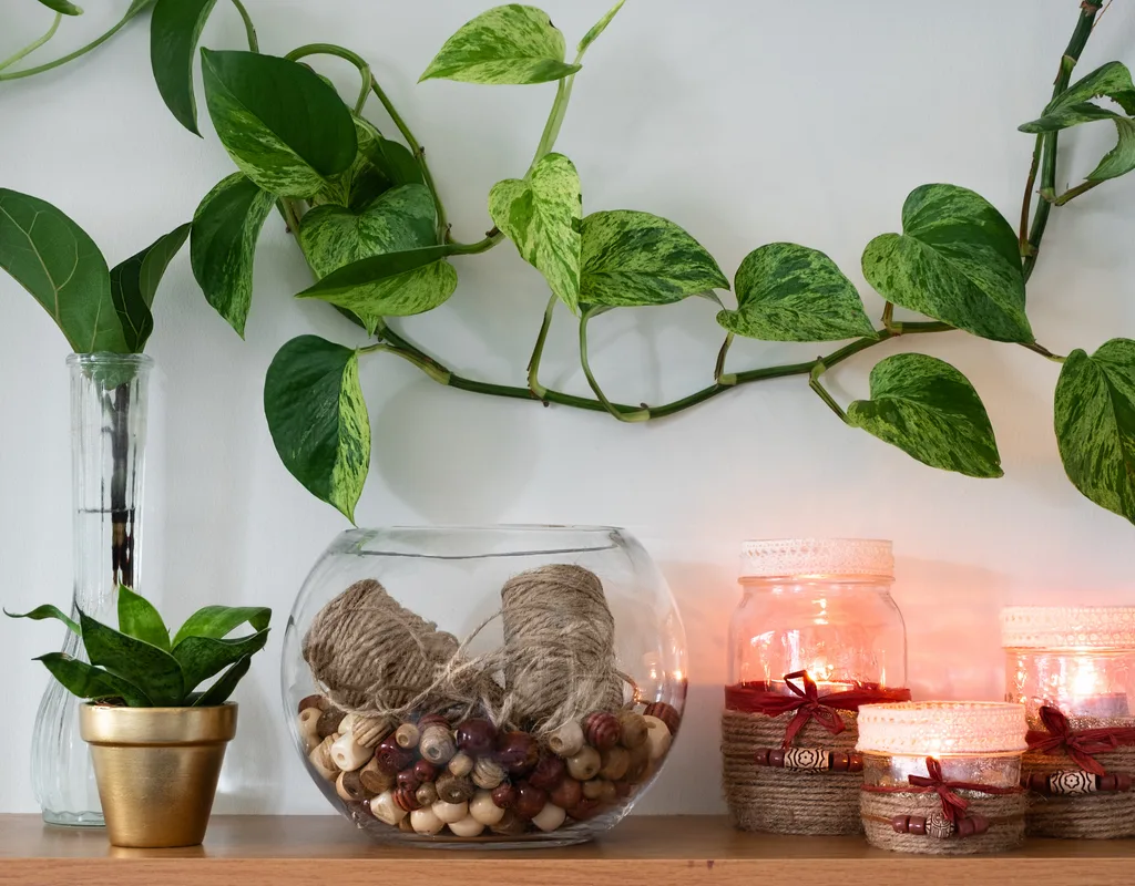 آب مورد نیاز برای نگهداری گل پتوس در آب