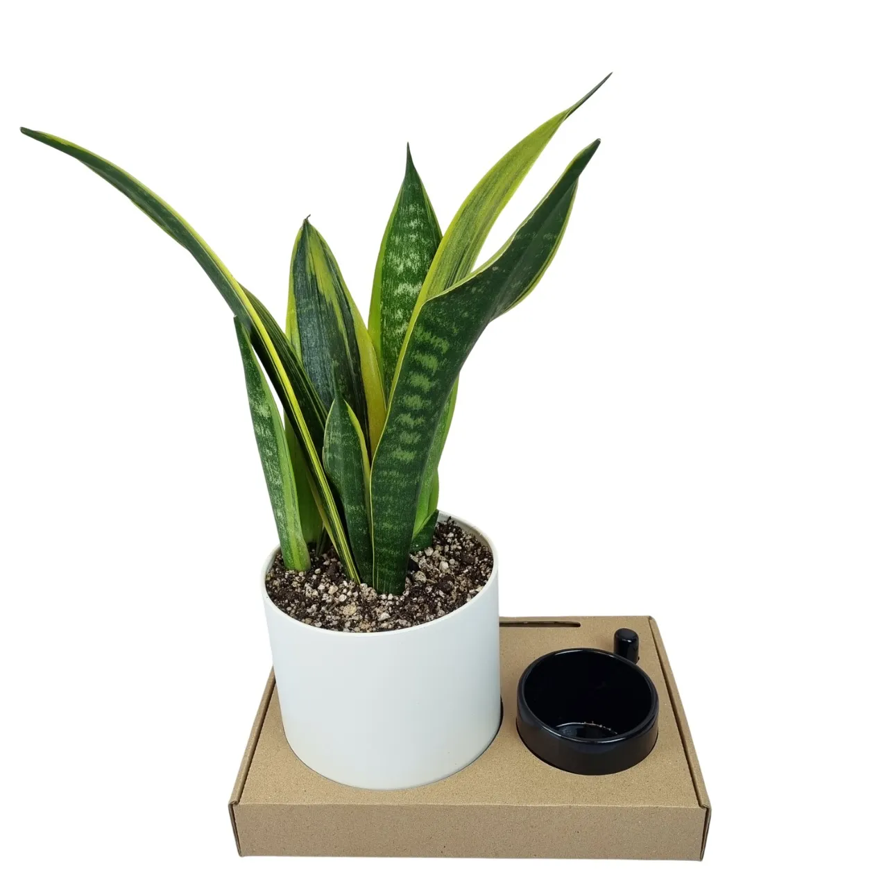 پک هدیه شرکتی | گلد فلیم