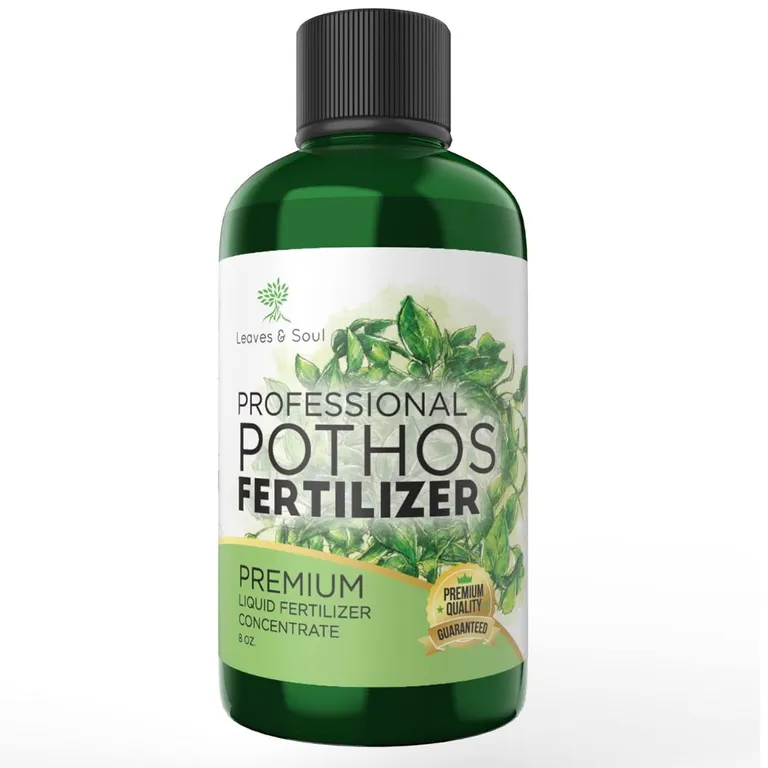 آموزش تقویت گل پتوس با کود